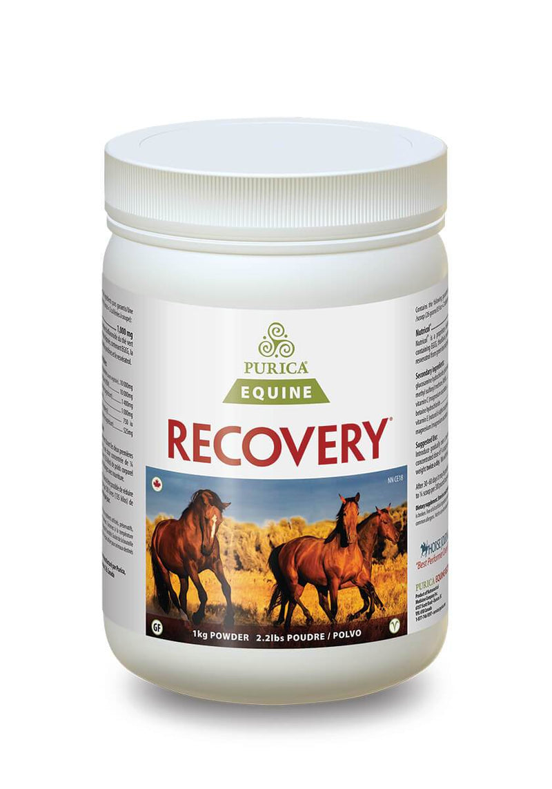 Purica Equine Recovery EQ Image 5