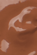 Zuzu Oil-Free Liquid Foundation - L-24 30 mL Image 3