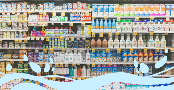 Best Dairy Alternatives: Oat Milk and More