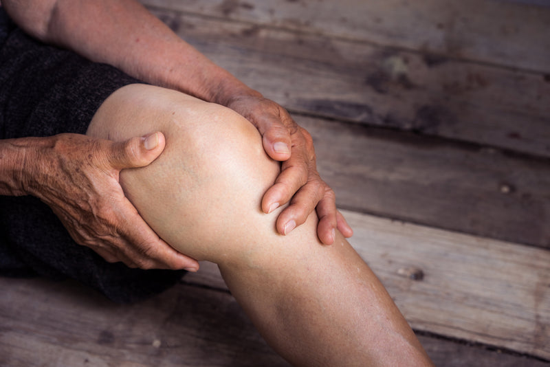 You Can Prevent Joint Pain with Canprev