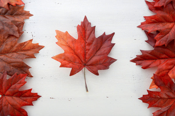 Celebrate Canadian brands with locally made health supplements on Canada Day