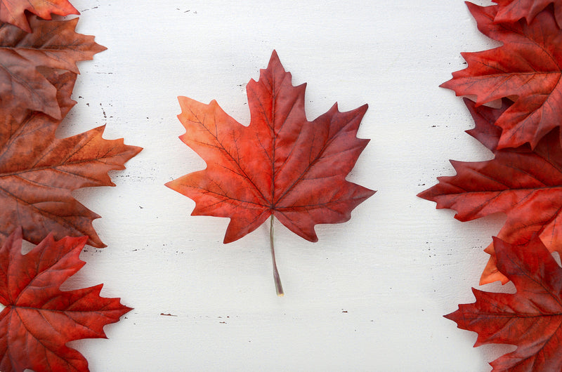 Celebrate Canadian brands with locally made health supplements on Canada Day