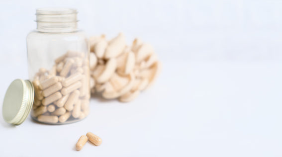 Close-up of a vibrant, healthy mushroom symbolizing endurance and performance enhancement, surrounded by natural green foliage.