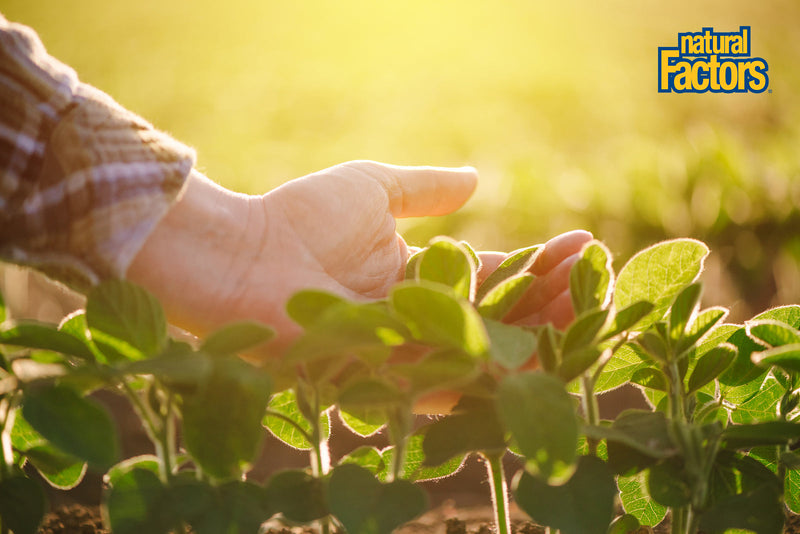 Healthy facts about Natural Factors supplements for daily wellness