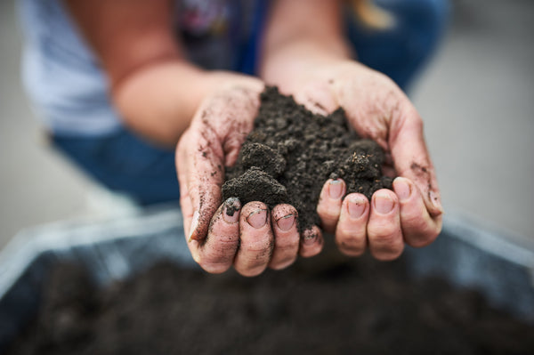 The must-have glyphosate removing supplement for natural detox support