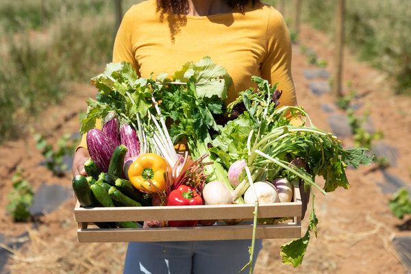 Fresh organic vegetables displayed at a farmers market, representing the debate on whether organic produce is healthier and more sustainable.