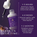 Apothekary Mindcraft supplement bottle with dropper on a purple background, highlighting benefits over time.