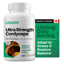 A bottle of Vitasave Ultra Strength Cordyceps with 120 vegetable capsules, each containing 1000mg of Cordyceps mushroom extract. The label indicates that the product is made in Canada and is designed to support immune health, energy, and stress relief.
