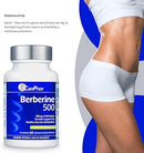 Close-up of CanPrev Berberine 500 mg capsules and bottle, highlighting the vegan-friendly label and high-potency formulation for blood sugar and metabolic support.