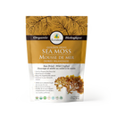 Ecoideas Golden Irish Sea Moss (113 g) - A jar of premium, organic golden sea moss with a textured surface, showcasing its natural, dried form. Ideal for health and wellness, this nutrient-rich sea moss is packed in a transparent jar with a green label displaying the brand logo and product details.
