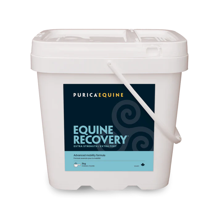 Purica Equine Recovery Extra Strength