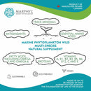 Marphyl Marine Phytoplankton 30 caps – natural health support