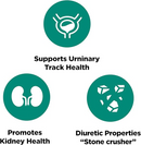 Platinum Naturals Chanca Piedra (90 VCaps)