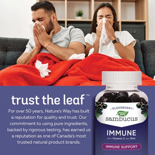 Sambucus Immune Support, Original Gummies (60 gummies)