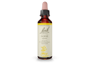 Bach Flower Gorse Drops 20 mL Image 1