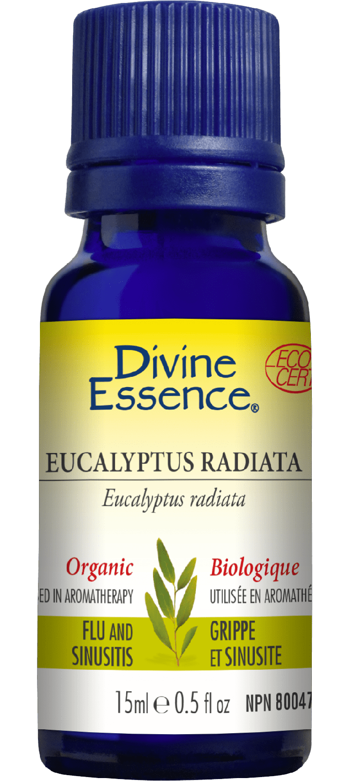 Divine Essence Eucalyptus Radiata 15 mL Image 1