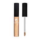 Gabriel Lipgloss - Champagne 8 mL Image 1