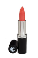 Gabriel Lipstick - Santa Fe 3 g Image 1
