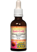 Natural Factors Echinamide Anti-Cold Echinacea & Goldenseal Tincture bottle with a green label, showcasing natural herbal ingredients to support immune health.