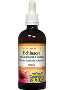 Close-up of Natural Factors Echinamide Anti-Cold Echinacea & Goldenseal Tincture, emphasizing the herbal formula designed to strengthen immunity and combat colds.
