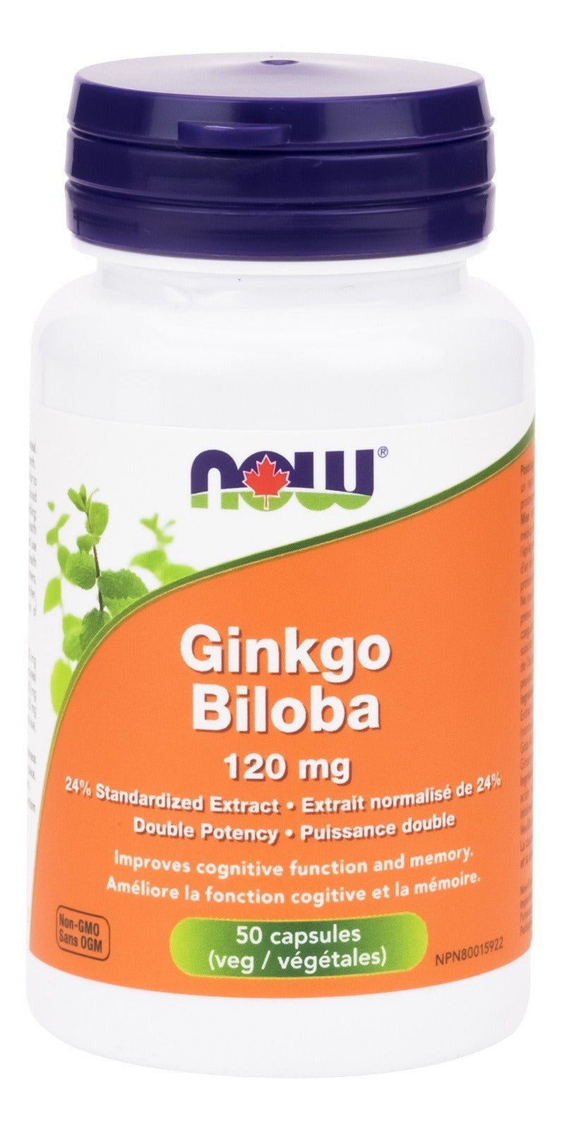 NOW Ginkgo Biloba 120 mg Capsules Image 1