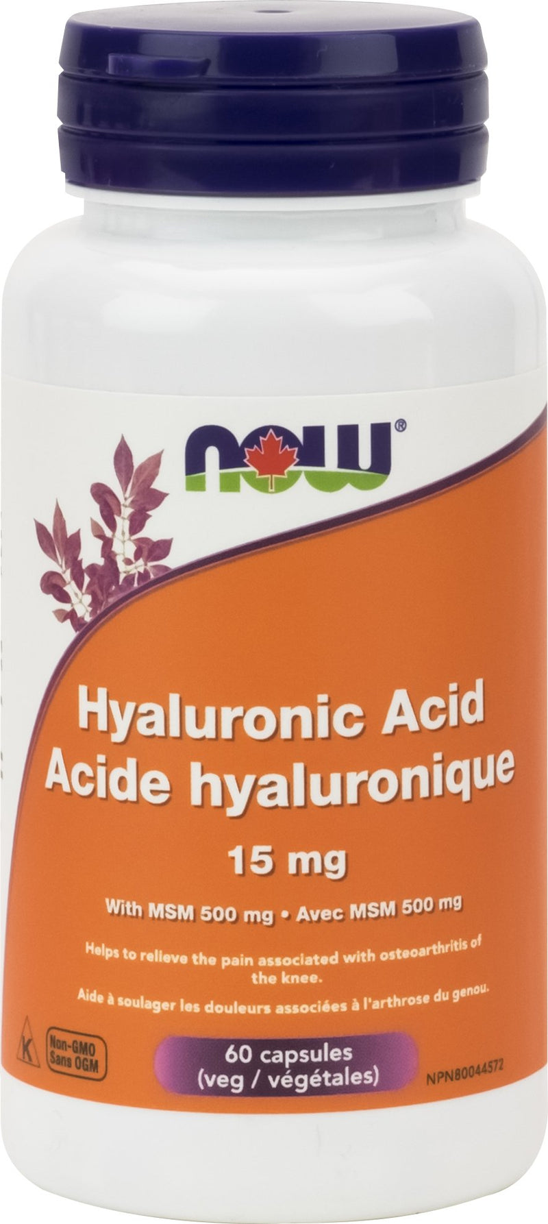 NOW Hyaluronic Acid 15 with MSM 500 mg 60 Capsules Image 1
