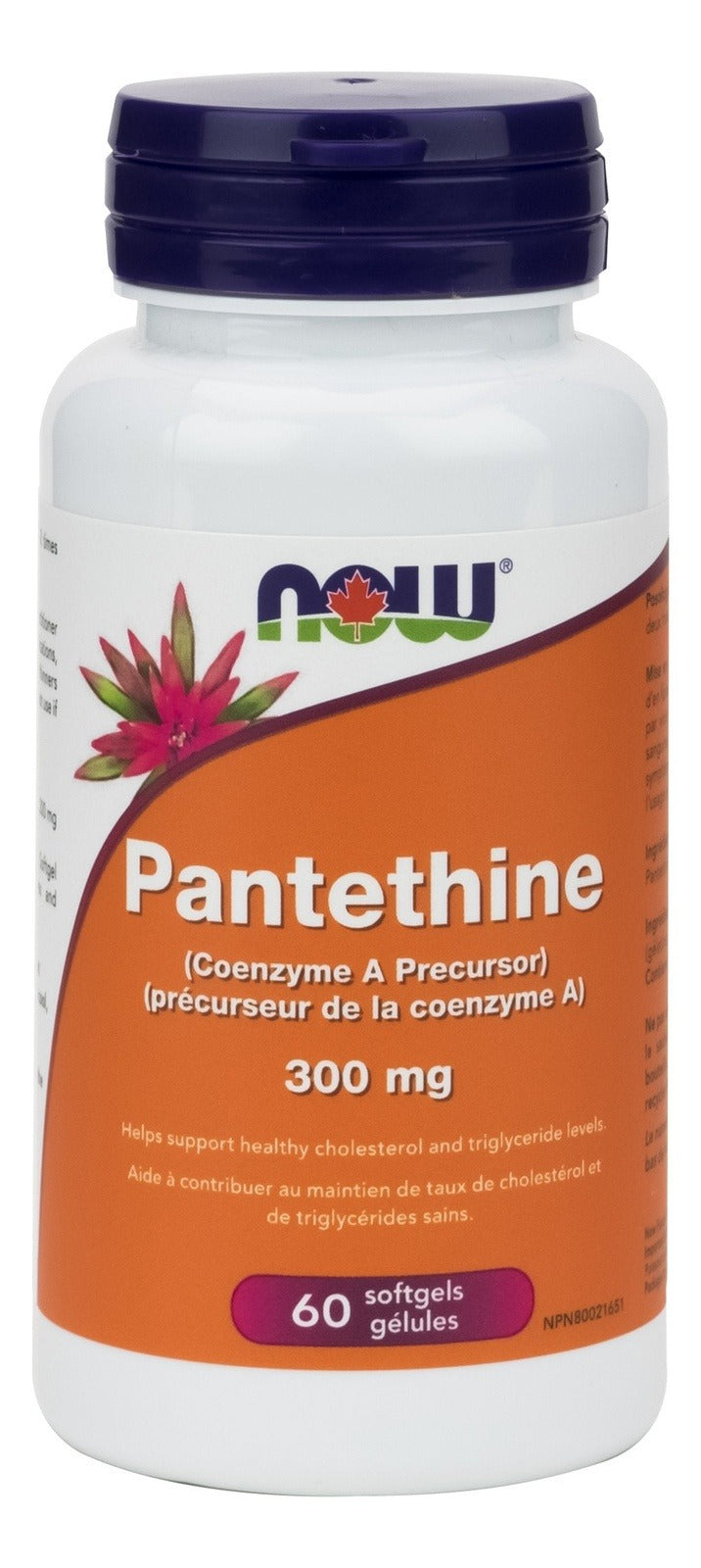 NOW Pantethine Coenzyme A Precursor 300 mg 60 Softgels Image 1