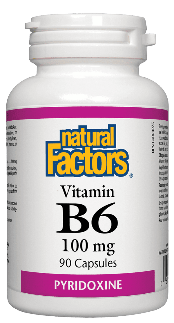 Natural Factors B6 100 mg 90 Capsules Image 1