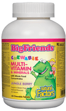 Natural Factors Big Friends Multi-Vitamin & Minerals - Jungle Berry 60 Chewable Tablets Image 1