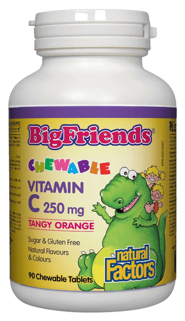 Natural Factors Big Friends Vitamin C 250 mg - Tangy Orange 90 Chewable Tablets Image 1