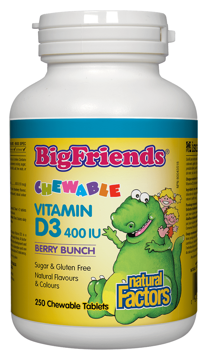 Natural Factors Big Friends Vitamin D3 400 IU - Berry Bunch 250 Chewable Tablets Image 1