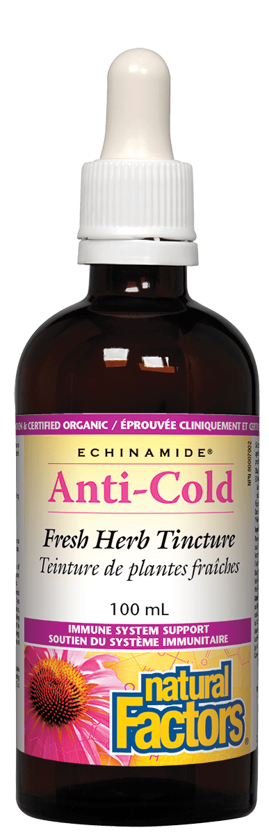 Natural Factors Echinamide Anti-Cold Fresh Herb Tincture 100 mL Image 1