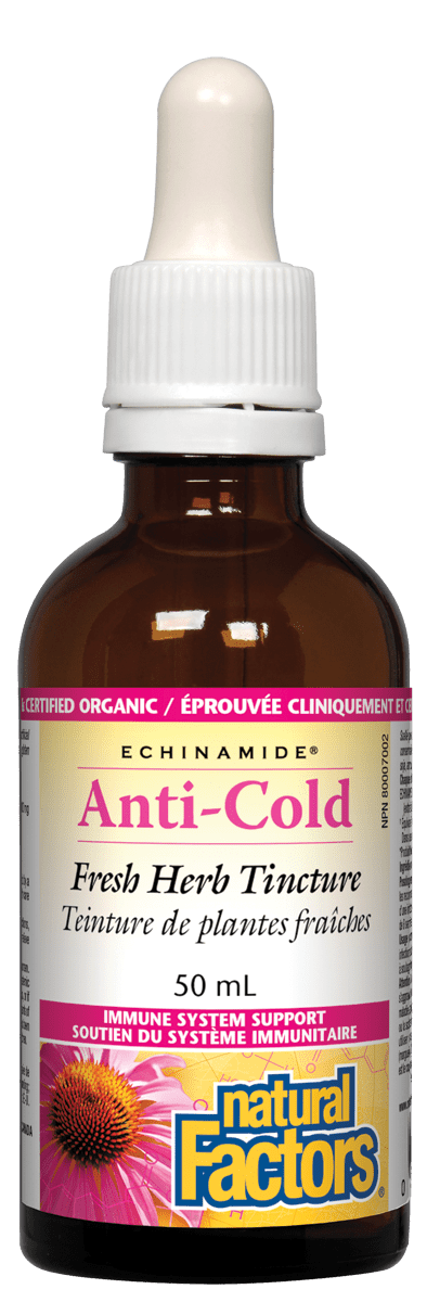Natural Factors Echinamide Anti-Cold Fresh Herb Tincture 50 mL Image 1