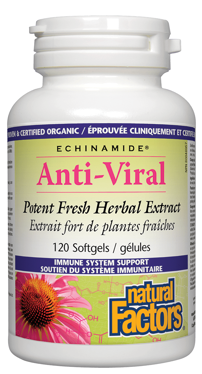 Natural Factors Echinamide Anti-Viral Herbal Extract Softgels Image 2