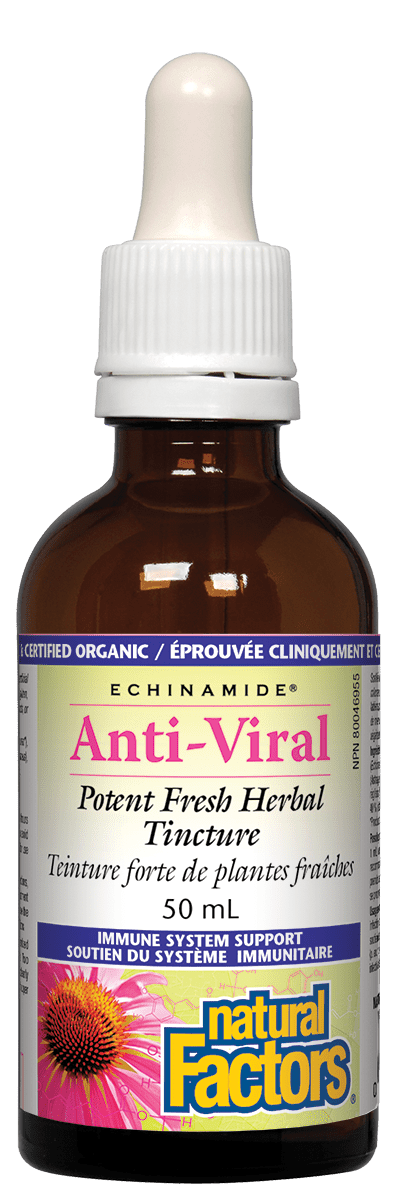 Natural Factors Echinamide Anti-Viral Herbal Tincture Image 1