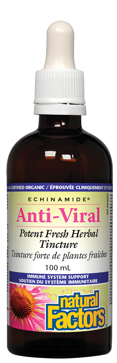 Natural Factors Echinamide Anti-Viral Herbal Tincture Image 2