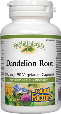 Natural Factors HerbalFactors Dandelion Root 800 mg 90 VCaps Image 1