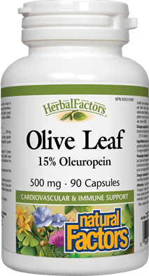 Natural Factors HerbalFactors Olive Leaf 500 mg 90 Capsules Image 1