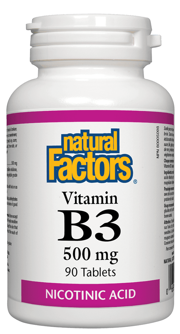 Natural Factors Vitamin B3 Nicotinic Acid 500 mg 90 Tablets Image 1