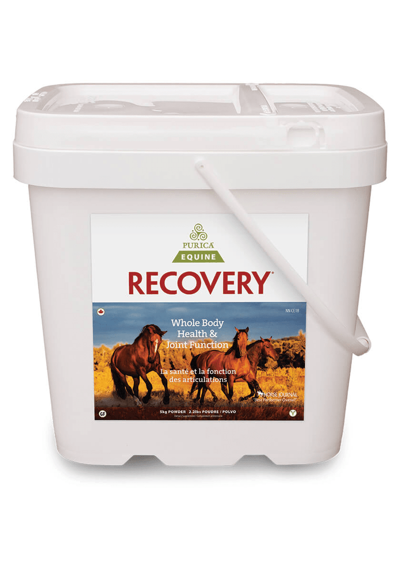 Purica Equine Recovery EQ Image 2