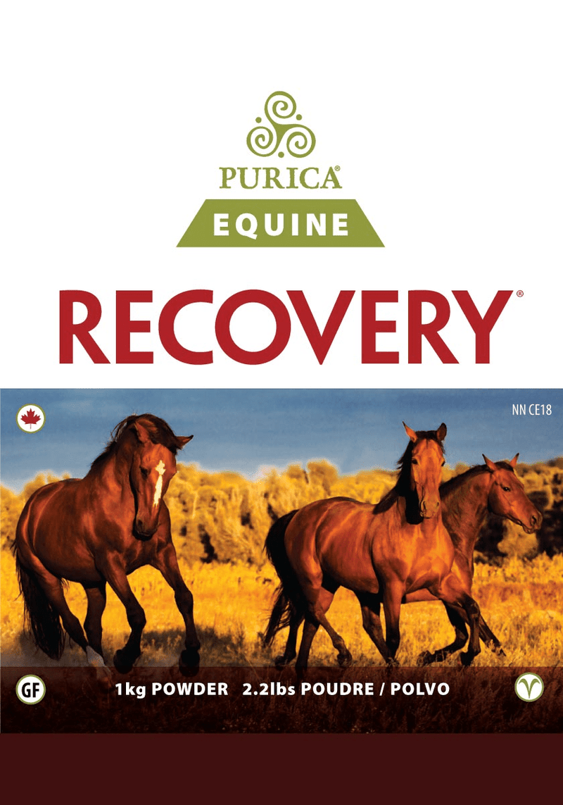 Purica Equine Recovery EQ Image 3