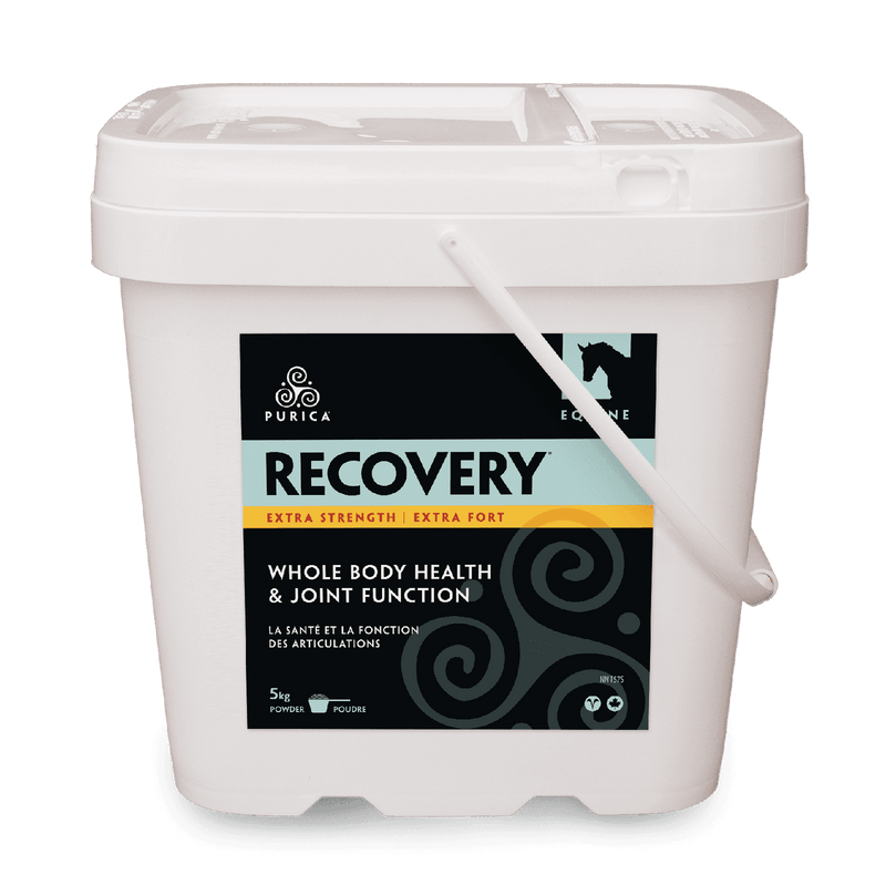 Purica Equine Recovery Extra Strength Image 2
