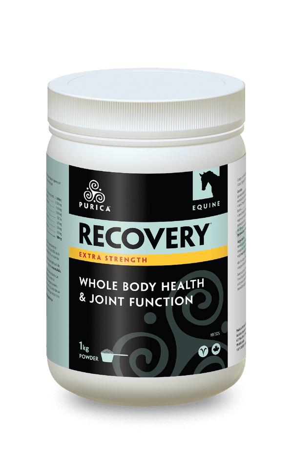 Purica Equine Recovery Extra Strength Image 1