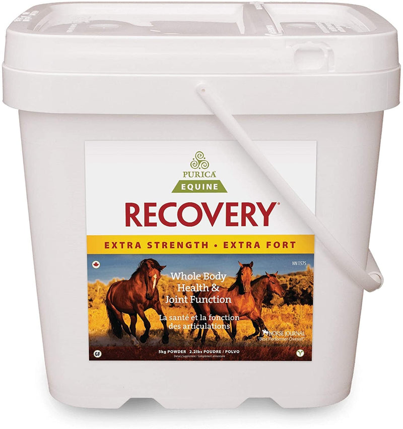Purica Equine Recovery Extra Strength Image 4