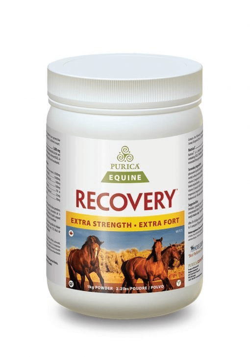 Purica Equine Recovery Extra Strength Image 3