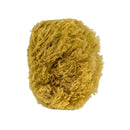 Urban Spa The All-Natural Sea Sponge Image 2