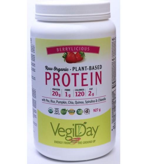 VegiDay Raw Organic Plant Based Protein - Berrylicious 927 g Image 1