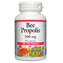 A bottle of Natural Factors Bee Propolis 500 mg with 90 capsules. The label shows the product name, dosage, and an image of propolis along with a colorful floral background.