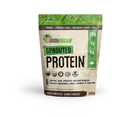 A package of Iron Vegan Sprouted Protein powder in double chocolate flavor. The packaging is labeled with product information including protein content, organic certification, and the absence of GMOs, artificial flavors, and colors.